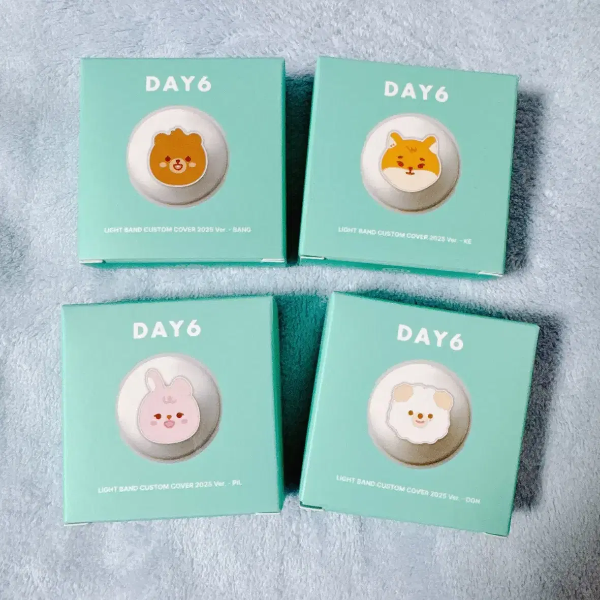 DAY6 | 데이식스 DAY6 Light Band Custom Cover Day6 Bangkedeon