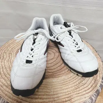 MIZUNO 미즈노 골프화 끈 타입