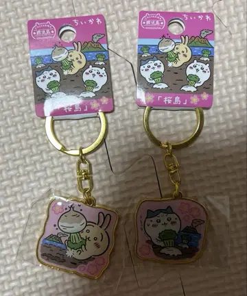 [ 새상품 ] 지역 치이카와 사쿠라지마