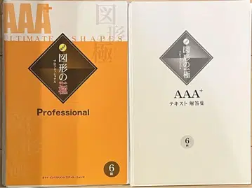타마이식 AAA+ 도형의 극 프로페셔널 6급 해답 포함