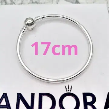 PANDORA 팔찌 16 Moments Bangle