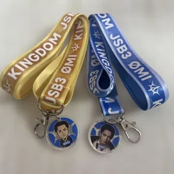 3대 토사카 히로오미 넥스트랩 레어 KINGDOM