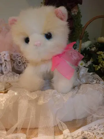 고양이 봉제 인형