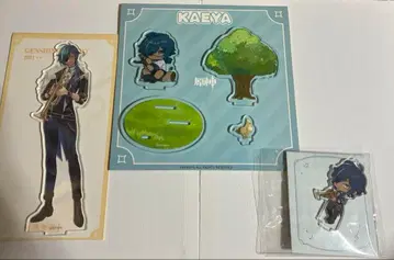 원신 가이아 아크릴 스탠드 세트 Genshin Impact