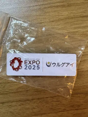 EXPO 2025 우루게아이 마그넷