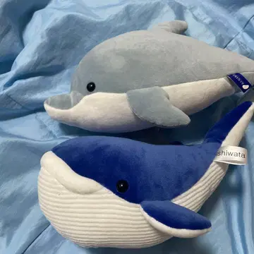 에노시마 수족관 돌고래 고래 봉제 인형 세트