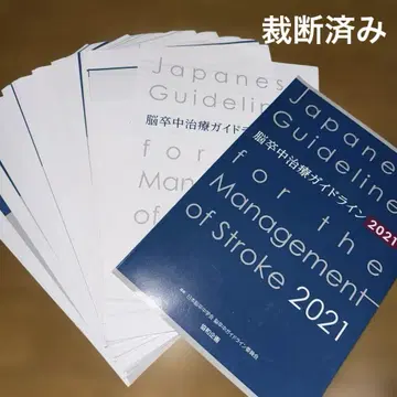 뇌졸중 치료 가이드라인 2021