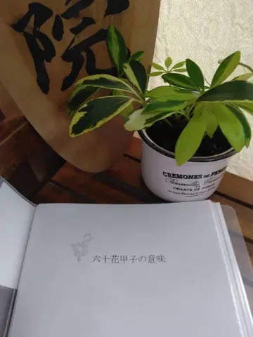 산명학 교재 [ 육십갑자 ] 숙명수 계산법 포함
