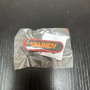 Vaundy little punk 캡슐 토이 러버 키체인 스케이트보드