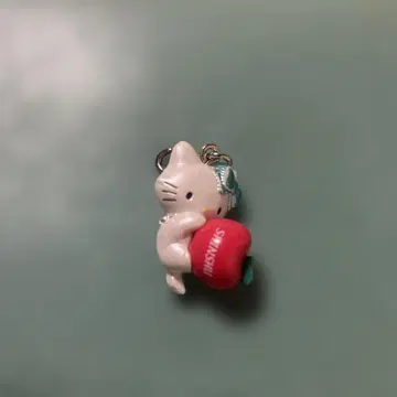 레어 지역 한정 키티 헬로키티 매듭 장식 신슈 차미키티 사과