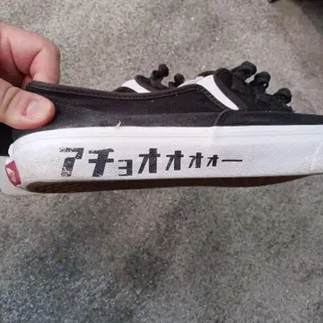 VANS AUTHENTIC 빌리즈 별주 [ KUNG FU ] 29cm