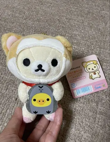 시부야구 관광 대사 고유루리 앰버서더 봉제 인형 코리락쿠마