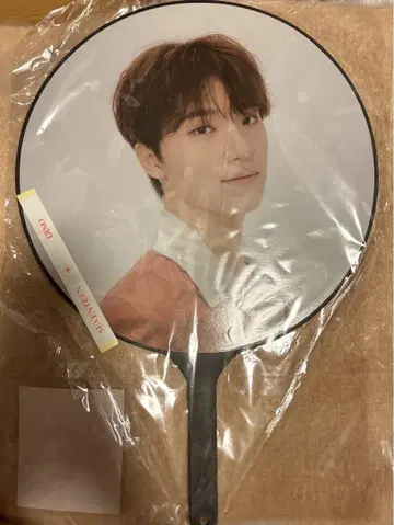SEVENTEEN 디노 부채