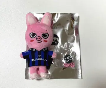 straykids KARMA 창빈