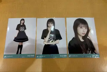 노기자카46 야타 모에카 진구 라이브T 브로마이드 3종 컴프