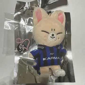 Stray Kids 아이엔 skzoo karma