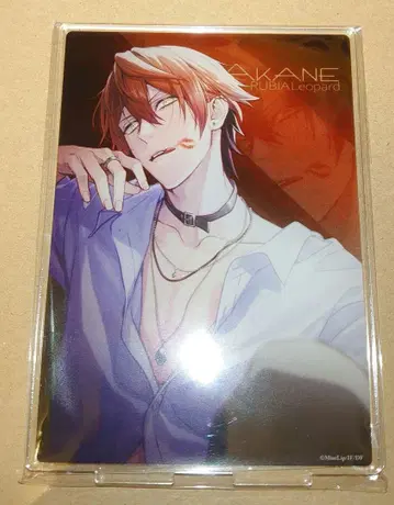 DIG-ROCK AKANE 아크릴 스탠드
