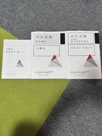 아가루트 노동법 종합강의 기출문제 분석강좌 논증집 사법시험 예비시험