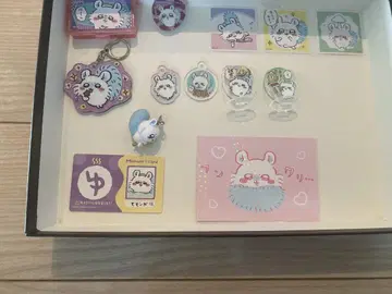 치이카와 (먼작귀) 모몽가