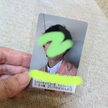 타쿠야의 시금치 2024년 8월 D상