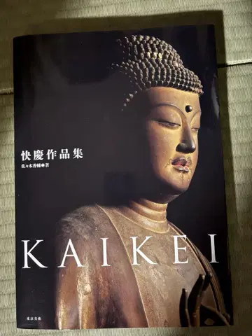 카이케이 작품집 KAIKEI 사사키 코스케 도쿄 미술