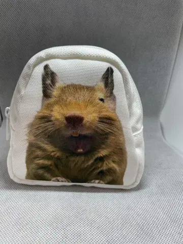 성게 파우치