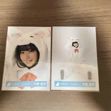 히나타자카46 오노 마나미 동물 인형옷