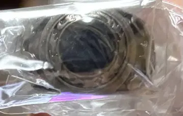 봉고레 반지 대공 가정교사 히트맨 리본