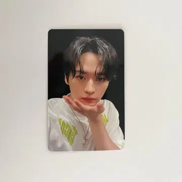 Stray Kids 스키즈 KARMA 리노 트레이딩 카드