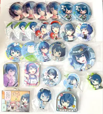 프로세카 키리타니 하루카 묶음 판매