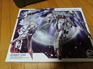 ZERO GRAVITY 1/100 월야 심판 MOONNIGHT JUDGE