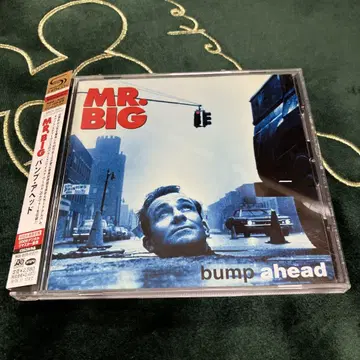 MR.BIG 범프 헤드