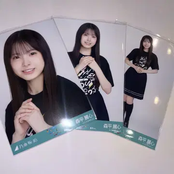 노기자카 생사진 모리히라 레이신 라이브t셔츠 도쿄 컴프