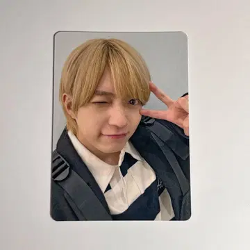 나니와단시 니시하타 다이고 카드 4장
