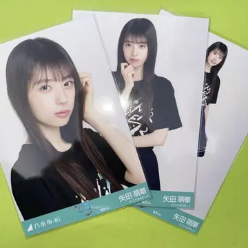 노기자카 브로마이드 야타 모에카 라이브t셔츠 도쿄 컴프