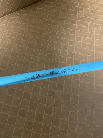 아노 아노짱 은색 테이프 무도관