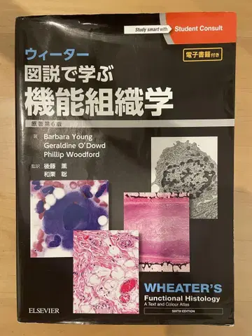 위터 도설로 배우는 기능 조직학