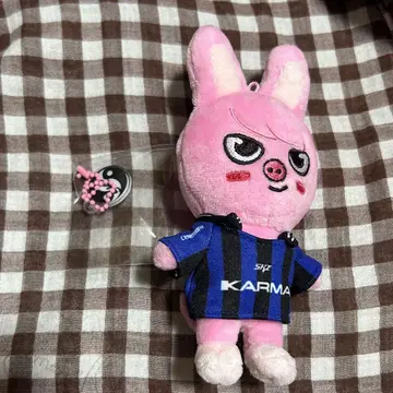 돼끼 찬빈 karma