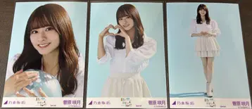 스가와라 사츠키 Special