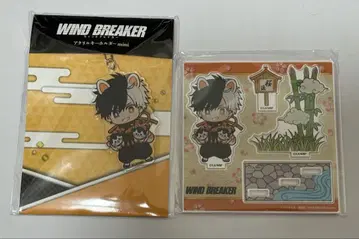 WIND BREAKER 윈브레 신년 마즐 벚꽃 2세트