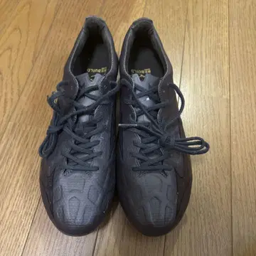 미즈노 알파 2 LTD 최종 가격 인하