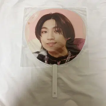 ICEx 시가 리쿠 부채