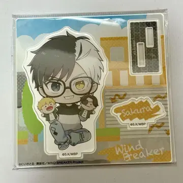 WIND BREAKER 윈브레 glasses 아크릴 스탠드 벚꽃