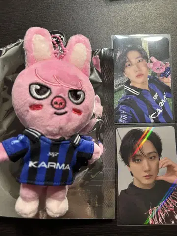 straykids KARMA skzoo ver 창빈