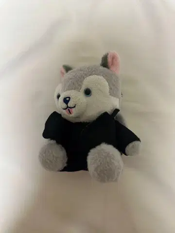 노킹 온 락드 도어 앉아 봉제 인형 (도리견)