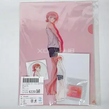 푸른상자 초노 히나 ZOZOTOWN 잡화 세트