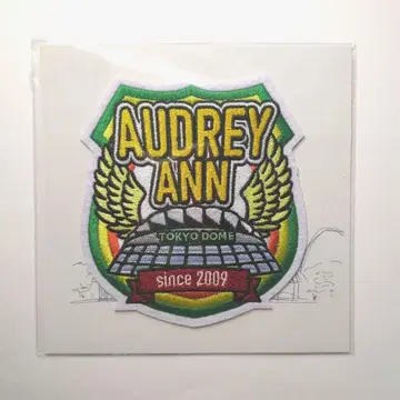오드리 올 나이트 니폰 IN 도쿄돔 AUDREY ANN 와펜