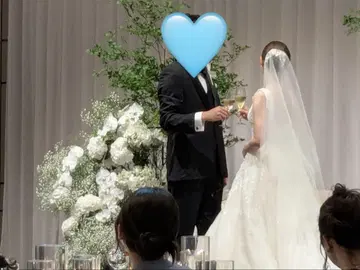 트리트 숏 베일