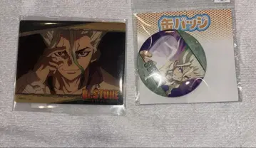 Dr.STONE 이시가미 센쿠 묶음 판매