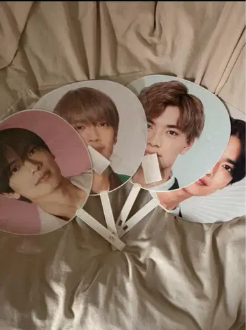 타카하시 쿄헤이 부채 세트